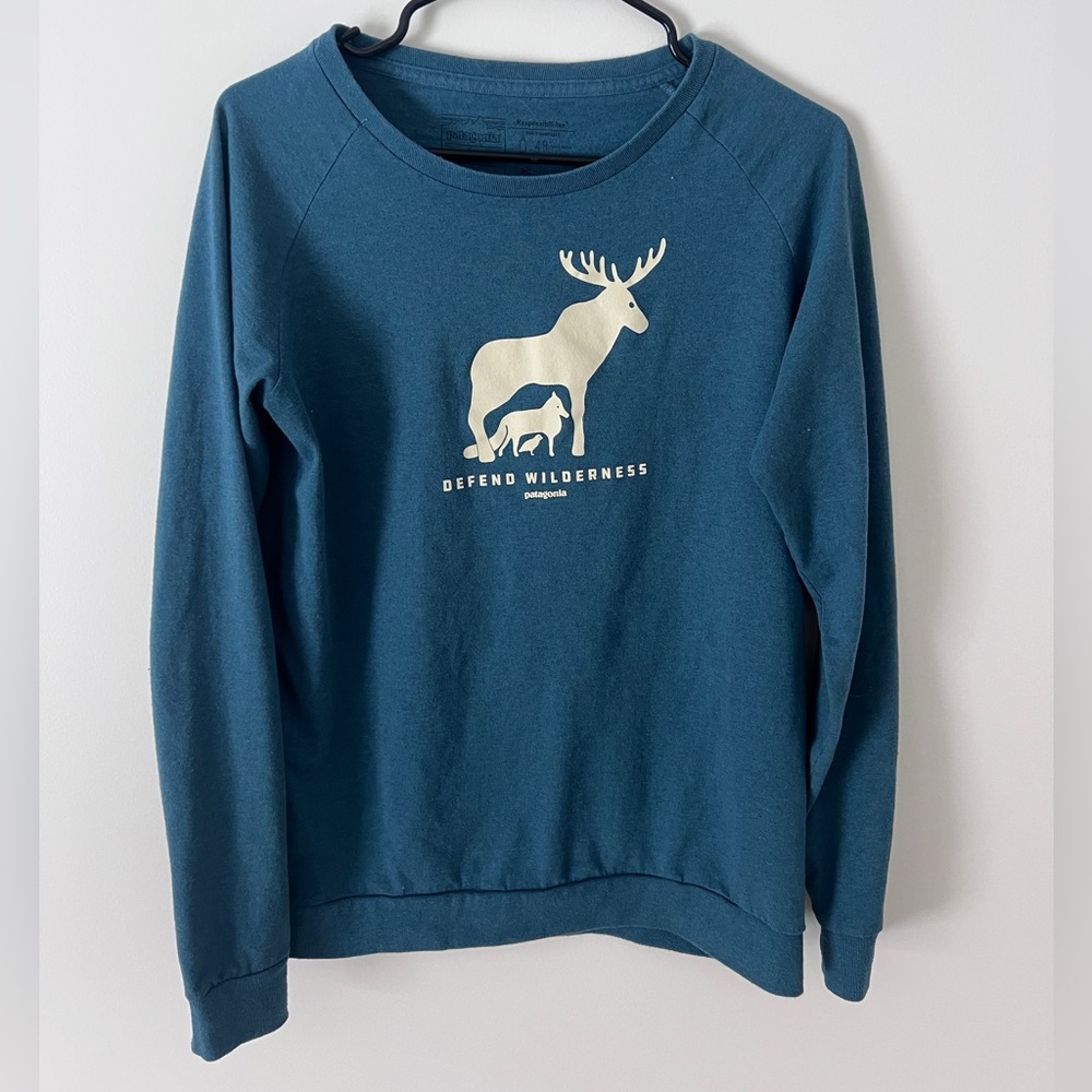 Defend Wilderness Patagonia Sweater
